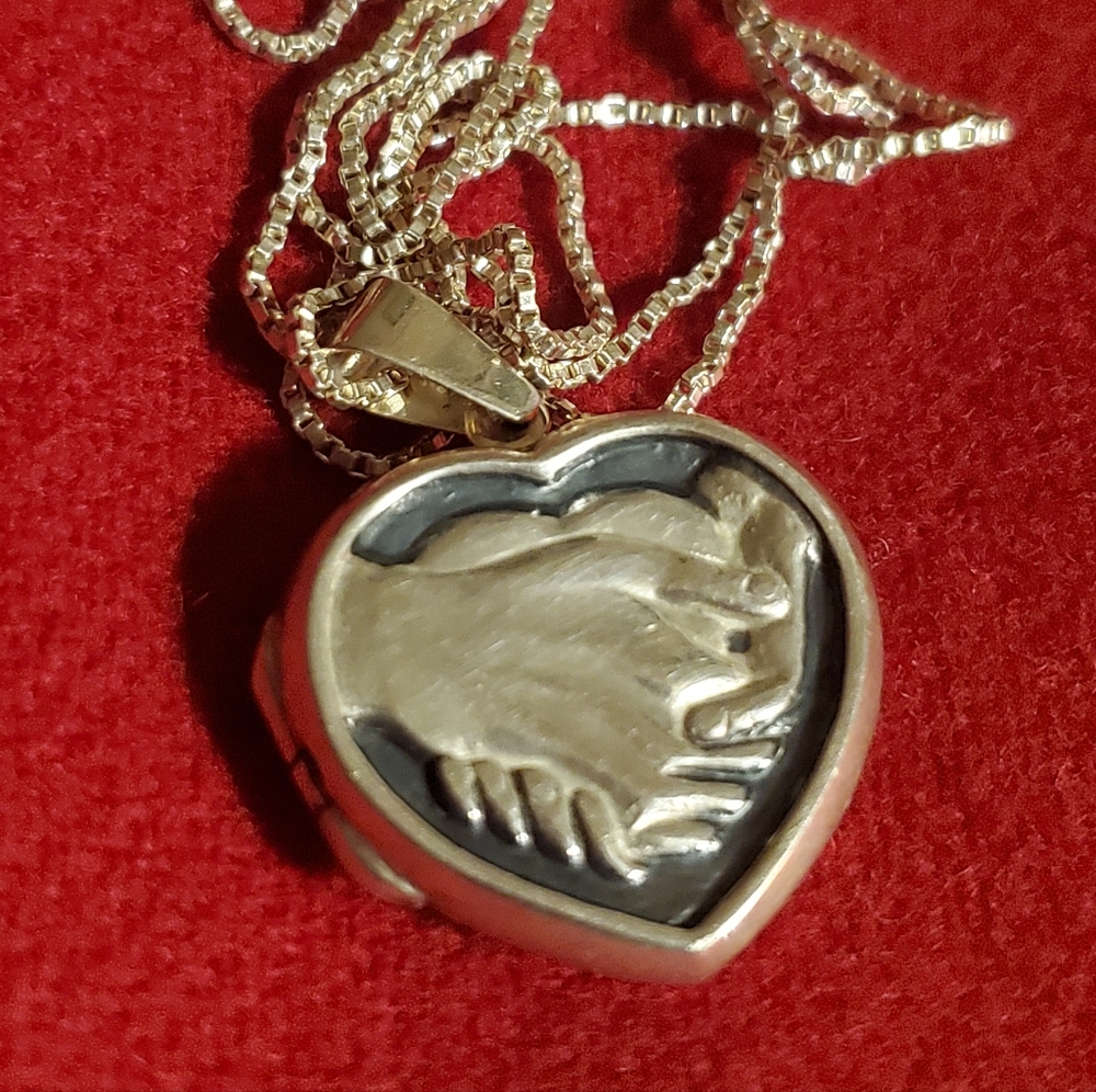 Vintage Sterling Silver Locket Necklace 22" Long